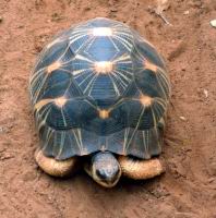 �� �����